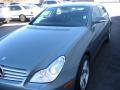 2006 CLS 500 #29 2006 CLS 500 #29