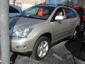 2004 RX 330 #2