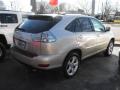 2004 RX 330 #3