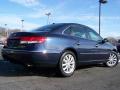 2007 Azera Limited #7