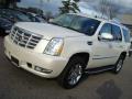 2007 Escalade AWD #8 2007 Escalade AWD #8