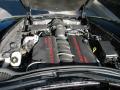 2005 Corvette Convertible #28