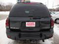 2004 TrailBlazer LS 4x4 #4