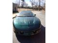 1994 Firebird Trans Am Coupe #4