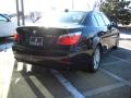 2008 5 Series 528xi Sedan #8