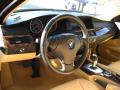 2008 5 Series 528xi Sedan #13