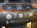 2008 5 Series 528xi Sedan #18