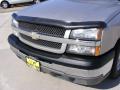 2004 Silverado 1500 LS Crew Cab #11