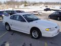 1997 Mustang V6 Coupe #5