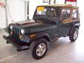 1994 Wrangler S 4x4 #3