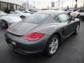 2010 Cayman  #7