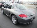 2010 Cayman  #9