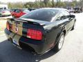 2007 Mustang GT Premium Coupe #10 2007 Mustang GT Premium Coupe #10
