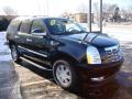 2009 Escalade AWD #3 2009 Escalade AWD #3