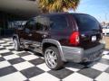 2008 Ascender S #10