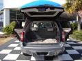 2008 Ascender S #13