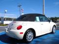 2004 New Beetle GLS Convertible #5