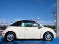 2004 New Beetle GLS Convertible #6