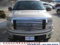 2010 F150 XLT SuperCrew 4x4 #3