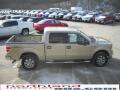 2010 F150 XLT SuperCrew 4x4 #5