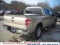 2010 F150 XLT SuperCrew 4x4 #6
