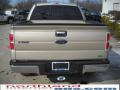 2010 F150 XLT SuperCrew 4x4 #7