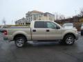 2007 F150 XLT SuperCrew 4x4 #2
