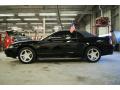 2001 Mustang GT Convertible #11 2001 Mustang GT Convertible #11