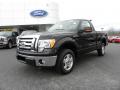 2010 F150 XLT Regular Cab #6