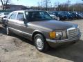 1988 S Class SE 300 #3