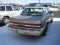 1995 Century Special Sedan #2