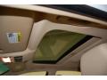 2007 5 Series 530i Sedan #30