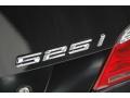 2007 5 Series 525i Sedan #8