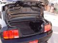 2006 Mustang GT Deluxe Coupe #17