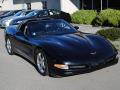2002 Corvette Coupe #13 2002 Corvette Coupe #13