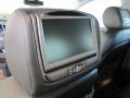 2010 SRX V6 #25