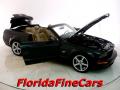 2006 Mustang GT Premium Convertible #8