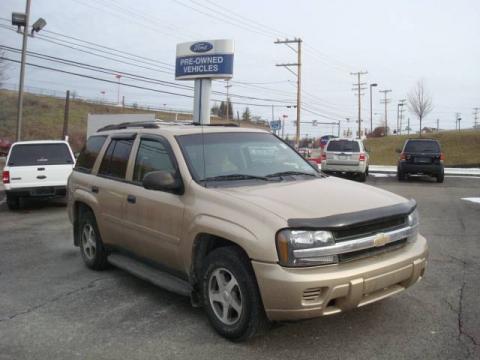 Sandstone Metallic Chevrolet TrailBlazer LS 4x4.  Click to enlarge.