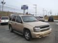 2006 TrailBlazer LS 4x4 #1