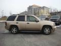 2006 TrailBlazer LS 4x4 #2
