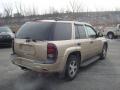 2006 TrailBlazer LS 4x4 #3