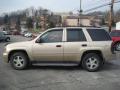 2006 TrailBlazer LS 4x4 #6