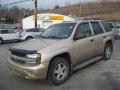 2006 TrailBlazer LS 4x4 #7