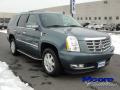 2009 Escalade AWD #16 2009 Escalade AWD #16