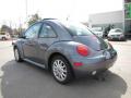 2004 New Beetle GLS Coupe #3