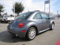 2004 New Beetle GLS Coupe #5
