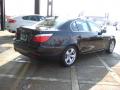 2008 5 Series 528i Sedan #8