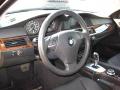 2008 5 Series 528i Sedan #13