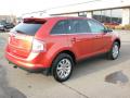2008 Edge Limited AWD #9