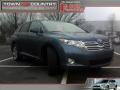 2009 Venza V6 #1